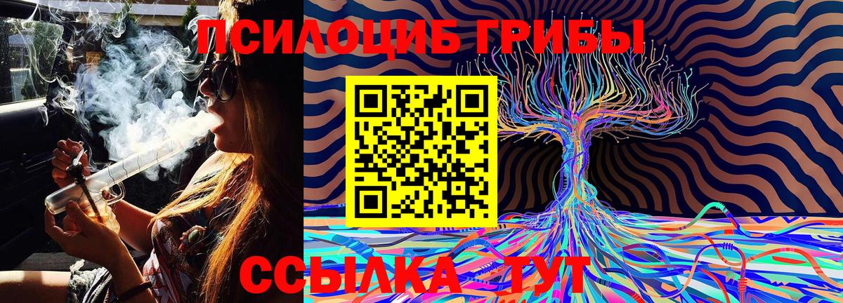 Воткинск  Псилоцибиновые грибы MAGIC MUSHROOMS  Вход с VPN 